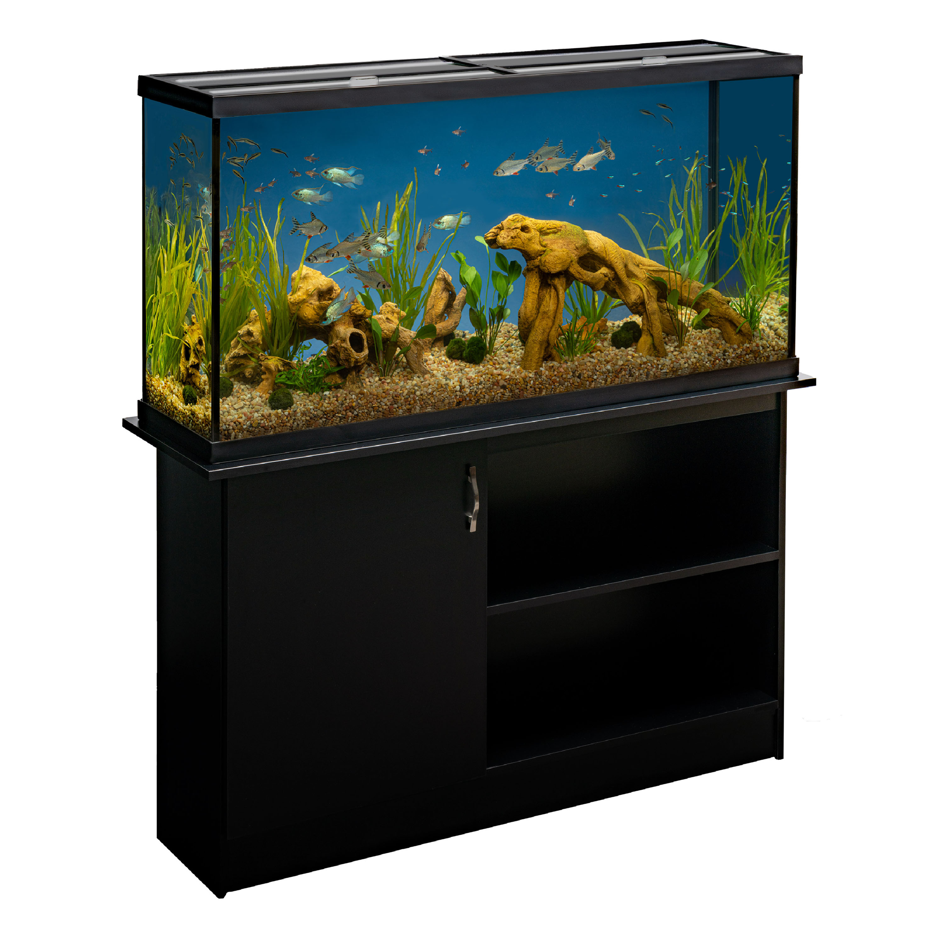 Petsmart corner fish tank top